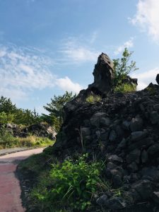 桜島の溶岩遊歩道！